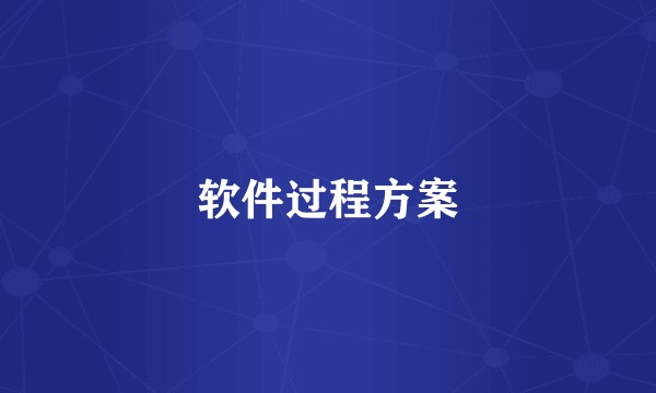 软件过程方案
