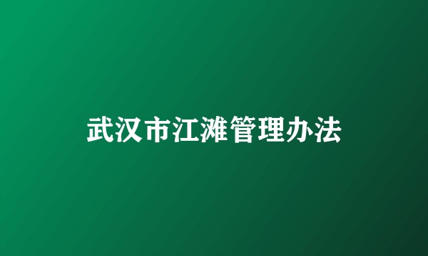 武汉市江滩管理办法