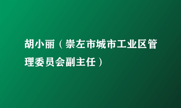 胡小丽（崇左市城市工业区管理委员会副主任）