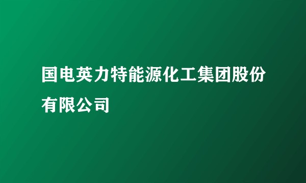 国电英力特能源化工集团股份有限公司