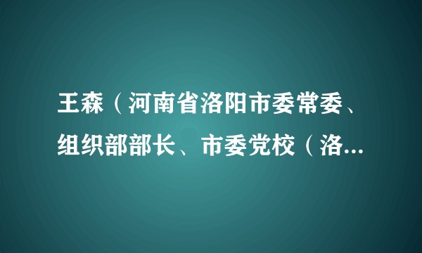 王森（河南省洛阳市委常委、组织部部长、市委党校（洛阳行政学院）校（院）长）