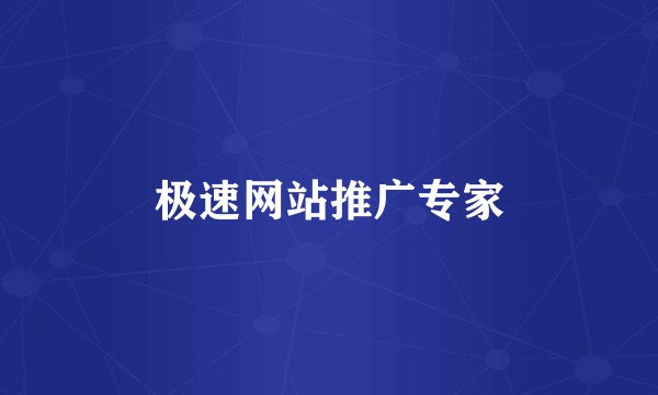 极速网站推广专家