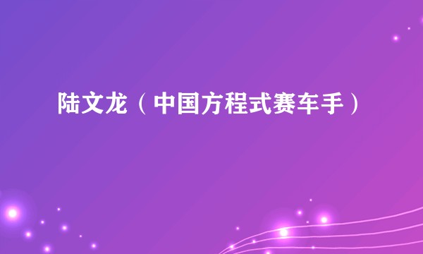 陆文龙（中国方程式赛车手）