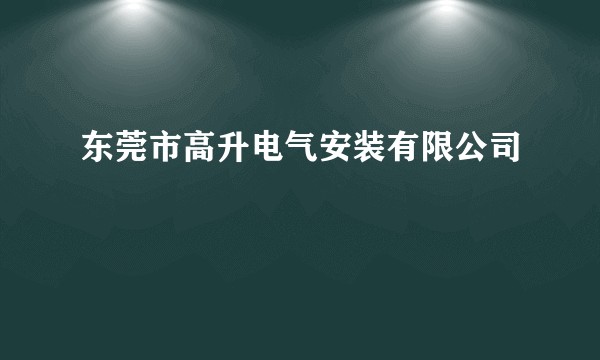 东莞市高升电气安装有限公司