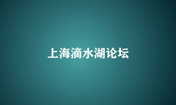 上海滴水湖论坛