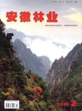 安徽林业
