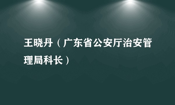 王晓丹（广东省公安厅治安管理局科长）