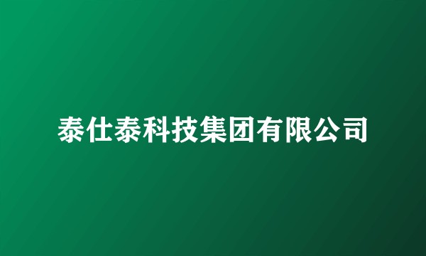 泰仕泰科技集团有限公司