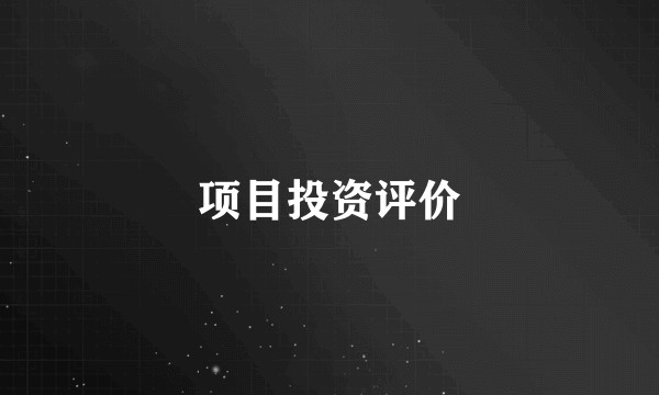 项目投资评价