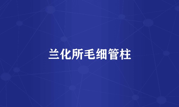 兰化所毛细管柱