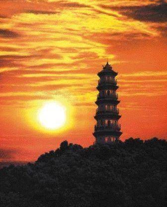 灵龟公园