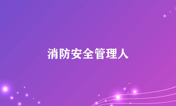 消防安全管理人