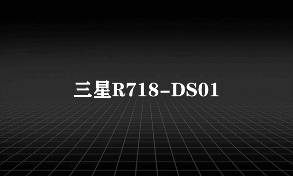 三星R718-DS01