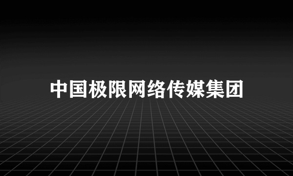 中国极限网络传媒集团