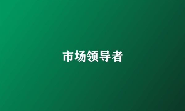 市场领导者