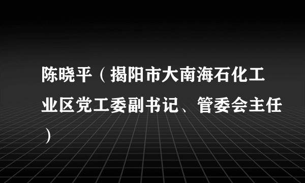 陈晓平（揭阳市大南海石化工业区党工委副书记、管委会主任）