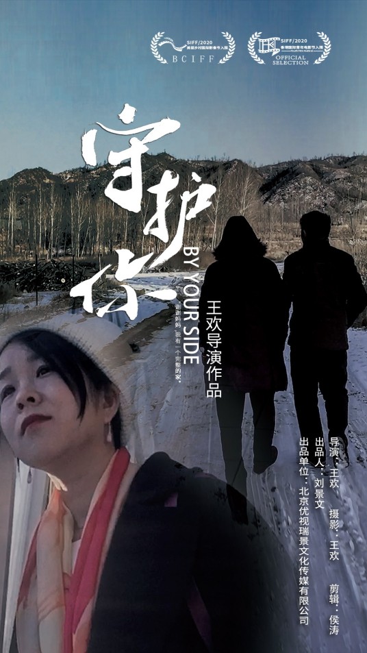 守护你(2020年王欢执导的纪录片)