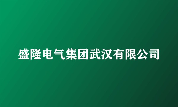 盛隆电气集团武汉有限公司