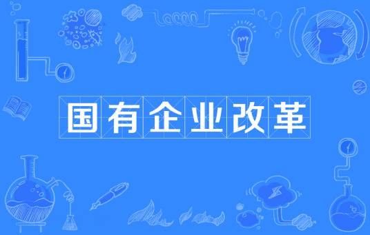 国有企业改革（增强国企活力与控制力）