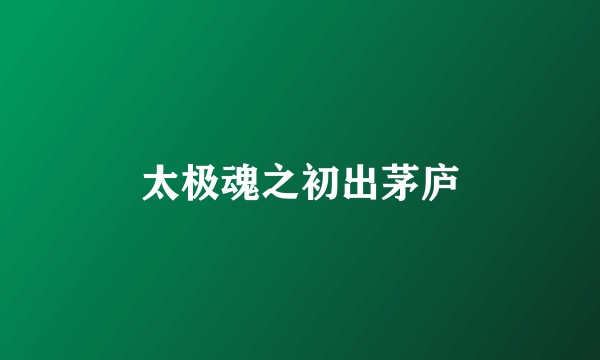 太极魂之初出茅庐