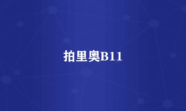 拍里奥B11