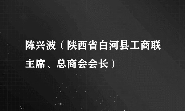 陈兴波（陕西省白河县工商联主席、总商会会长）