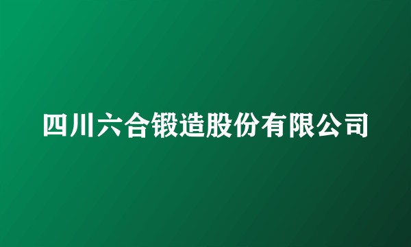 四川六合锻造股份有限公司