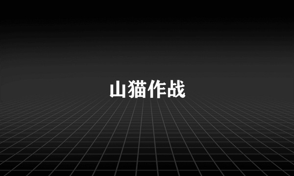 山猫作战
