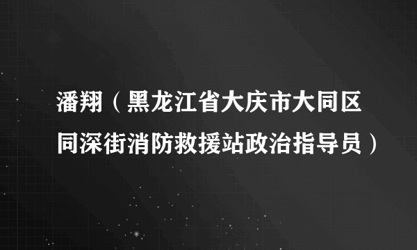 潘翔（黑龙江省大庆市大同区同深街消防救援站政治指导员）