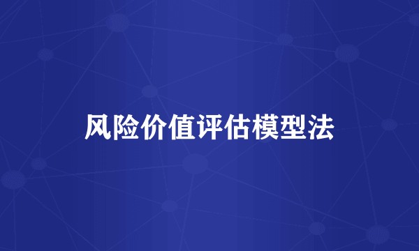 风险价值评估模型法