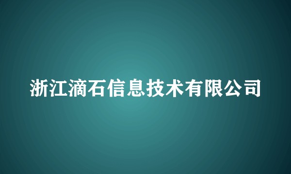 浙江滴石信息技术有限公司
