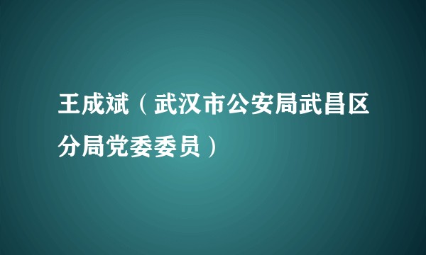 王成斌（武汉市公安局武昌区分局党委委员）