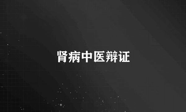 肾病中医辩证