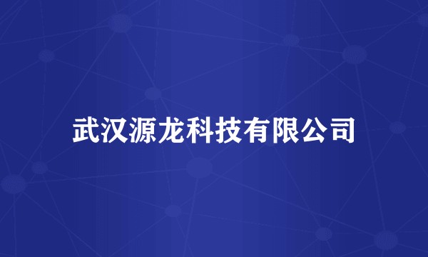 武汉源龙科技有限公司