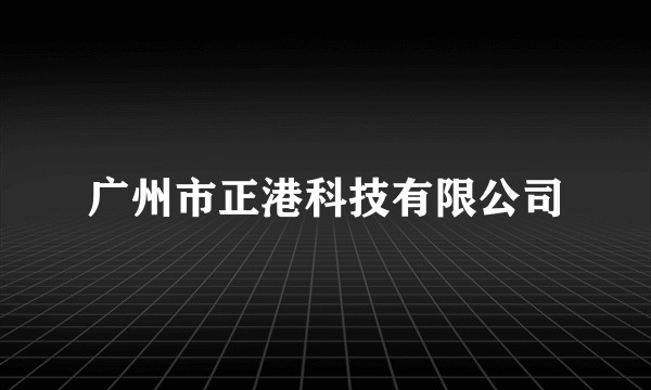 广州市正港科技有限公司