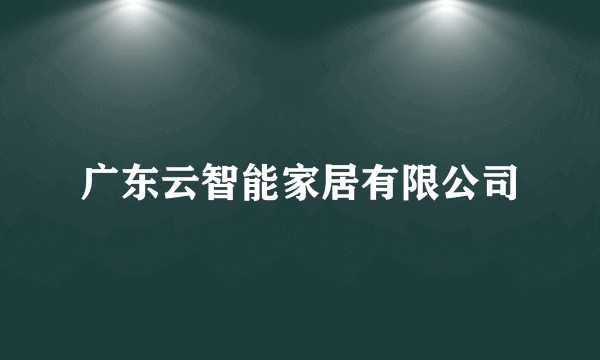 广东云智能家居有限公司