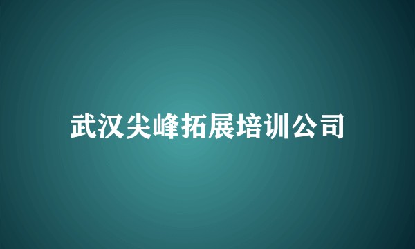 武汉尖峰拓展培训公司