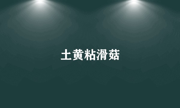 土黄粘滑菇