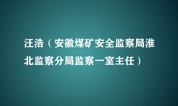 汪浩（安徽煤矿安全监察局淮北监察分局监察一室主任）