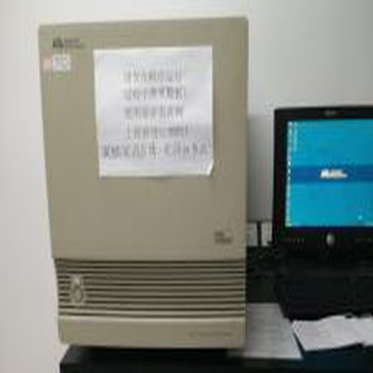 实时定量PCR