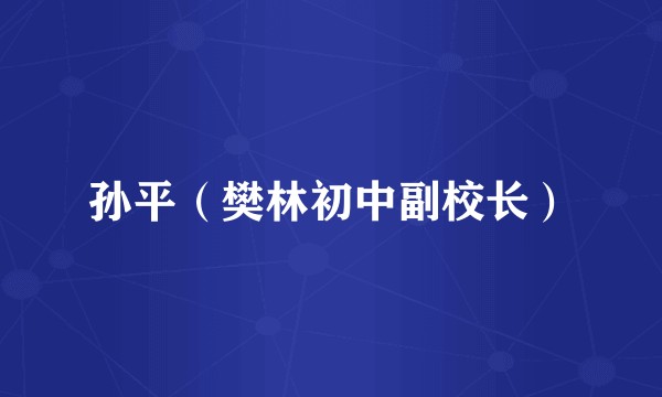 孙平（樊林初中副校长）