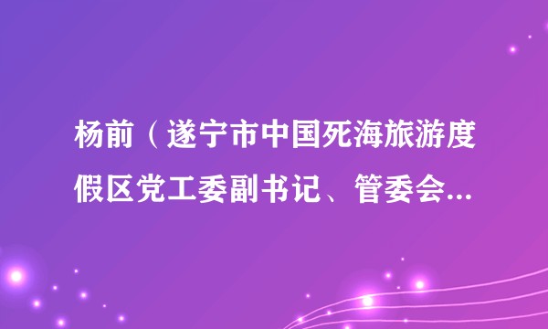 杨前（遂宁市中国死海旅游度假区党工委副书记、管委会常务副主任）