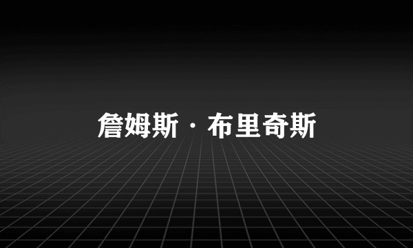 詹姆斯·布里奇斯