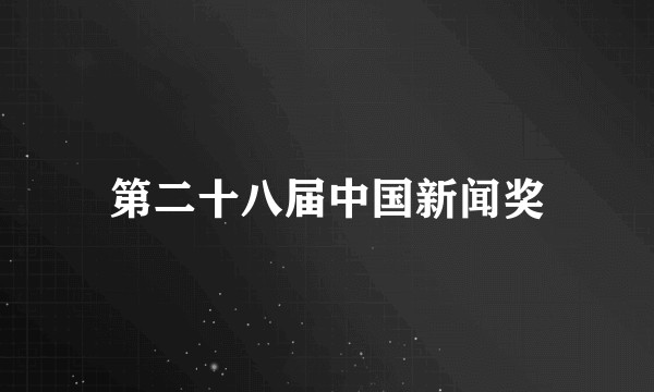 第二十八届中国新闻奖