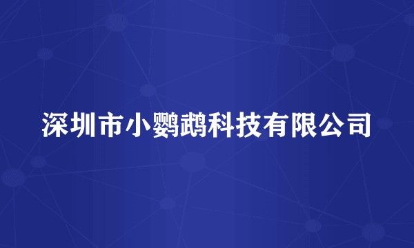深圳市小鹦鹉科技有限公司