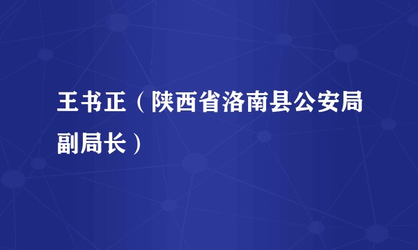王书正（陕西省洛南县公安局副局长）