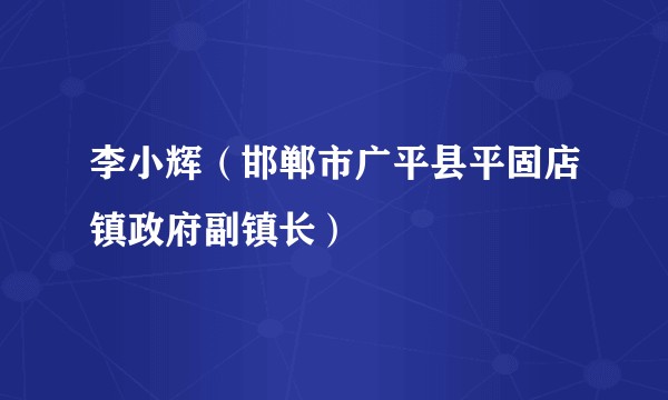 李小辉（邯郸市广平县平固店镇政府副镇长）