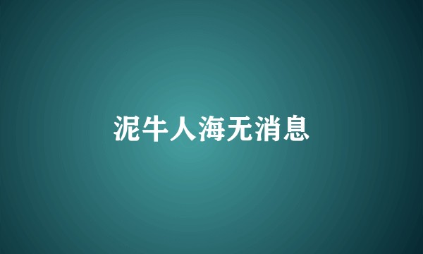 泥牛人海无消息
