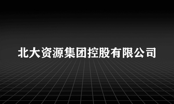 北大资源集团控股有限公司