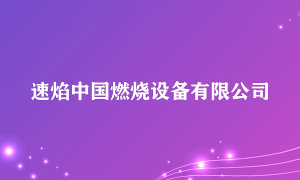 速焰中国燃烧设备有限公司
